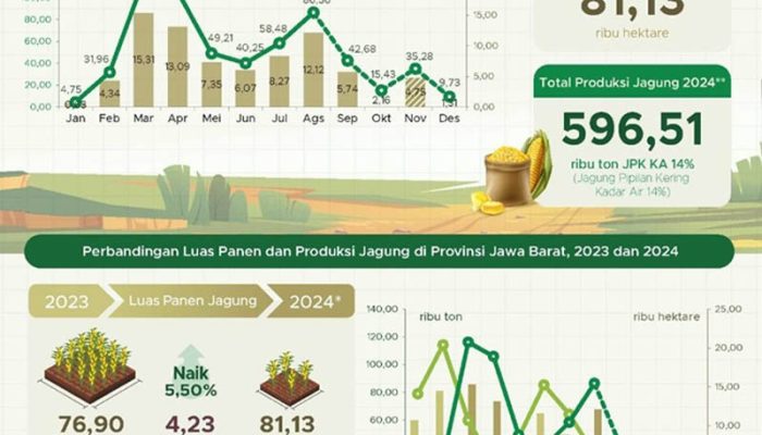 Produksi Jagung Pipilan Kering di Jawa Barat Tahun 2024