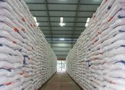 Jumlah Cadangan Pangan Pemerintah Daerah di Jawa Barat 2009-2025