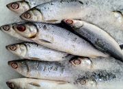 Struktur, Perilaku Dan Kinerja Pemasaran Ikan Bandeng Di Jawa Barat