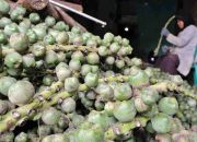 Menengok Sentra Produksi Kolang Kaling di Kabupaten Sukabumi