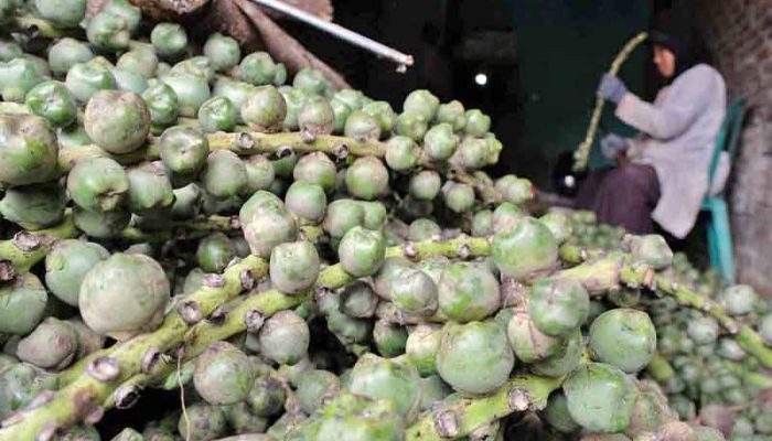 Menengok Sentra Produksi Kolang Kaling di Kabupaten Sukabumi