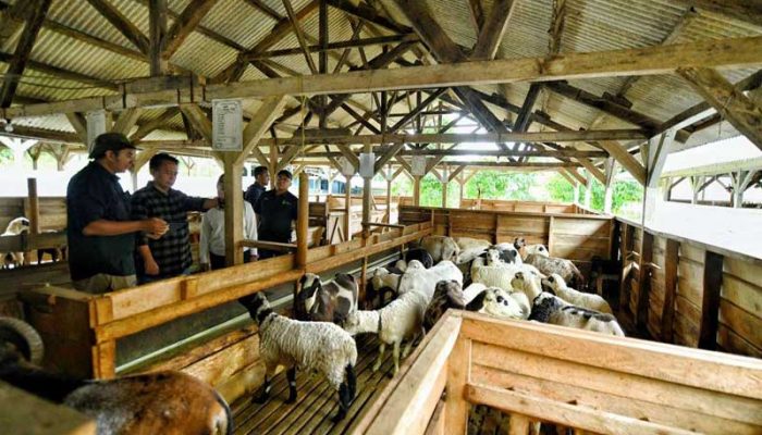 Produksi Daging Berdasarkan Jenis Ternak di Jawa Barat 2025