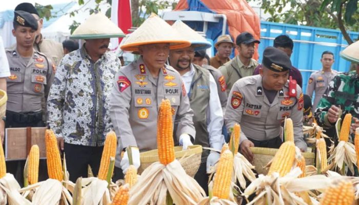Panen Raya Jagung, Kapolda Jabar, Bentuk Nyata Dukungan Ketahanan Pangan